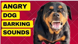 Dog Barking That Will Make Your Dog Go Crazy [upl. by Yahsel759]