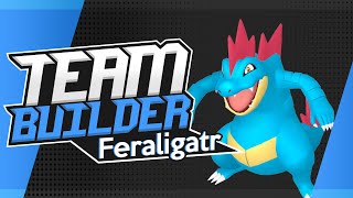 Pokémon Team Builder Reimagined  Best Feraligatr Team  Heart Gold amp Soul Silver [upl. by Zandt940]