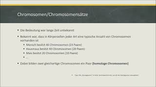 06Chromosomen  Träger der Erbanlagen [upl. by Jo-Anne]