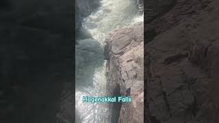 Hogenakkal Falls [upl. by Feirahs]