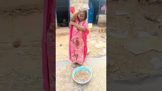 African Woman Winnowing Beans traditional villagelife winnowing ytshorts [upl. by Wehttan]