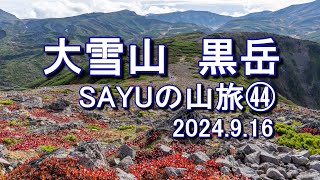 【大雪山黒岳】北海道初日は大雪山黒岳 素晴らしい紅葉 SAYUの山旅㊹ 2024916 [upl. by Beret]