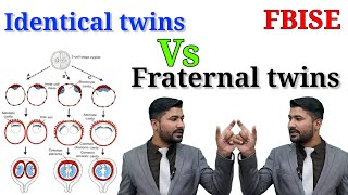 Twins and Quadruplets Identical twins vs fraternal twins  FBISE biology class 12 [upl. by Akkina]