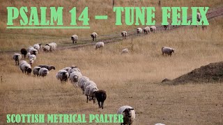 Scottish Metrical Psalter 1650 Psalm 14  Tune Felix  Devotional Intro amp Acapella Psalm Singing [upl. by Arahset]