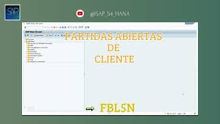 Partidas abiertas de proveedor y cliente sapopenitems sapproveedores sapclientes cursosapgratis [upl. by Asirac793]