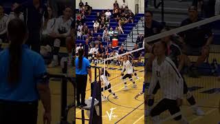 Check Out This Crafty No Look shorts volleyballhighlights [upl. by Lanctot320]