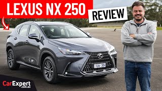 2024 Lexus NX inc 0100 braking amp autonomy review [upl. by Fern468]