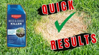 Bioadvanced Weed and Grass Killer Review  Best amp Cheapest on the Market [upl. by Duahsar]