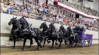 Young Livings World Champion Percheron Team [upl. by Thurlow]