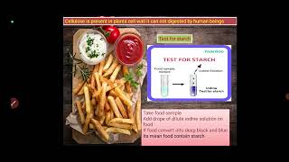 science chapter 1 components of food easy learn to the chapter new chennal giru mandir academy [upl. by Holmann268]