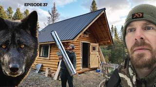 Log Cabin Build on OffGrid Homestead EP37 STOVE WOLVES FLOOR [upl. by Aholla]