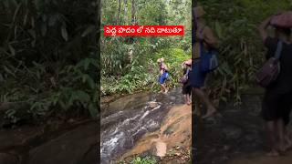 Sabarimala Peddapadam river crossing  Batasari travel tales  Telugu traveller [upl. by Dutch]