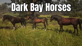 Group Photo  Dark Bay Horses  Red Dead Redemption 2 [upl. by Yruj]