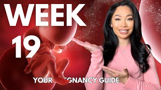 19 Weeks Pregnant  Your WeekbyWeek Pregnancy Guide [upl. by Eleira881]