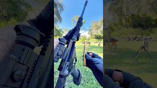 50 BMG Raptor 50 vs DA Targets [upl. by Nalyk]