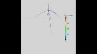 Growth of maize root system showing aerenchyma distribution in SimRoot [upl. by Netsoj]