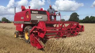 Massey Ferguson 520 Combine Harvester [upl. by Reeve156]