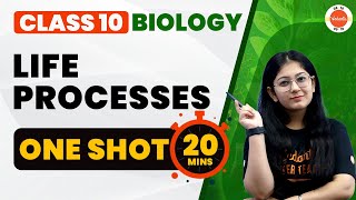 Life Processes Class 10 One Shot in 20 Minutes  NCERT Class 10 Biology Chapter1 CBSE2024 [upl. by Raynell798]