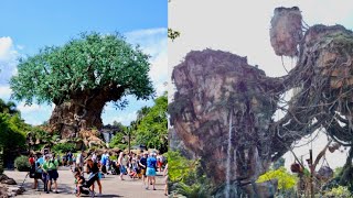 Exiting Disneys Animal Kingdom On A Summer Day  Avatar Shopping amp More  Walt Disney World 2023 [upl. by Lednyc319]