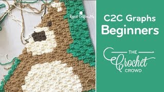 How to Crochet Corner to Corner C2C Graphghans for Beginners [upl. by Lienad611]