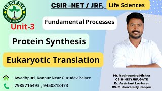 Eukaryotic Translation Elongation amp Termination  Translational Inhibitors  Lecture37 [upl. by Jasik]