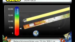 GLO T8 Leuchtstoffröhren [upl. by Adnilev]