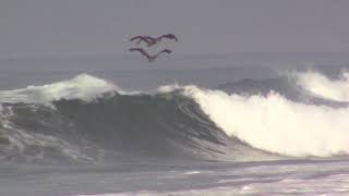 Costa Rica Surf Report Playa Marbella April 11 2019 [upl. by Orella]