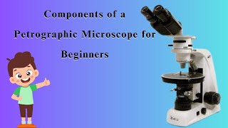 Components of a Petrographic Microscope for Beginners such as Binocular Heads Lenses and More [upl. by Naloj96]