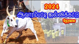 Aavarampatti Jallikattu Live full video 2024  ஆவாரம்பட்டி ஜல்லிக்கட்டு 2024 [upl. by Davie]