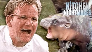 gordon amp moo deng screamo duet when  Kitchen Nightmares  Gordon Ramsay [upl. by Jeu652]