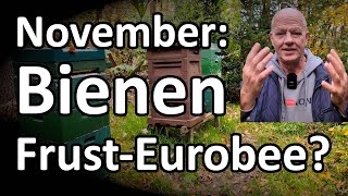 November Bienen und Frust auf Eurobee  was ist zu tun NaturRundgang [upl. by Byrn]