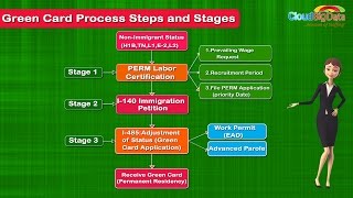 Green Card Process Steps and Stages [upl. by Beekman854]