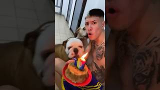 EL GORDO FALCIONI 😂🐷❤️ EN LOS 10 AÑOS DEL VIEJO 👴🏻 ROCKY 🐶👹 argentina parati humor viral [upl. by Telford601]