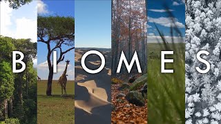 Biomes  The Living Landscapes of Earth Introduction To Biomes Of The World Geodiode [upl. by Drarreg623]