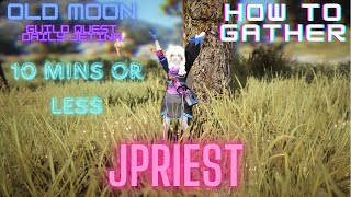 HOW TO GATHER IN BDO  OLD MOON EVENT JETIAN SEALS [upl. by Ertemed]