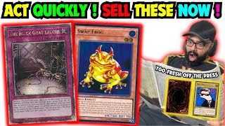 DUMP These Cards BEFORE Its TOO LATE  YuGiOh Market Watch [upl. by Keely54]