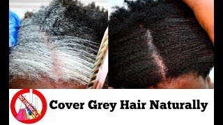 How To Turn White Or Grey Hair Into Black Naturally With No Chemicals Natural Hair Dye Step By Step [upl. by Clair]