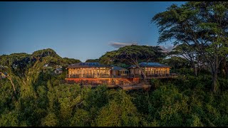 Ngorongoro Lion’s Paw by Karibu Camps amp Lodges [upl. by Olsen874]