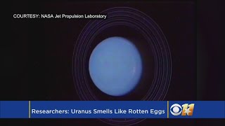 Uranus Smells Like Rotten Eggs Scientists Confirm [upl. by Aisylla]