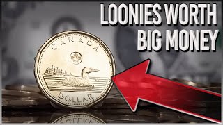 LOONIES WORTH BIG MONEY  RARE CANADIAN DOLLAR COINS IN YOUR POCKET CHANGE [upl. by Nesta]