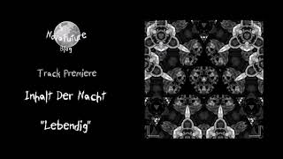 Inhalt Der Nacht  Lebendig SEELEN003  Seelen Records  Premiere [upl. by Oicangi]