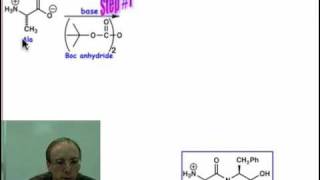 Peptide Synthesis [upl. by Herv663]