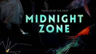 Into the Midnight Zone Secrets of the Ocean Void [upl. by Aneem494]