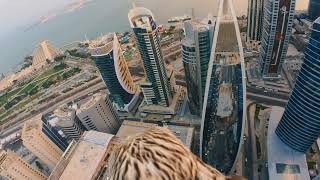 Qatar’s BirdsEyeView [upl. by Aerbas]