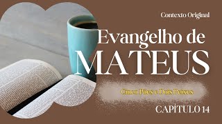 Estudo do Evangelho de Mateus  Capítulo 14  Contexto Original [upl. by Aihsiym]