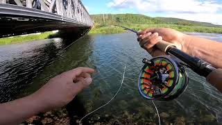 Fly fishing for Smallmouth bass [upl. by Abla]