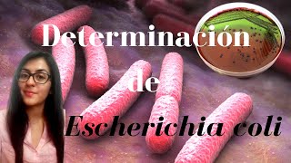 Determinación de Coliformes Totales y Escherichia coli [upl. by Pauli]