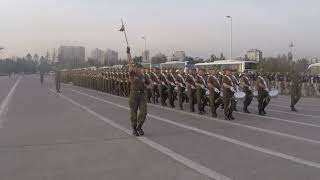 Escalon Carabineros Ensayo Parada Militar 2019 [upl. by Horwath]