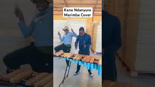 Killer T Kana Ndanyura Marimba Cover classic band marimba trancermk ​⁠KillerTVEVOkm3jx [upl. by Cleo]