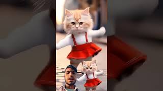 Billi video [upl. by Annahsit]